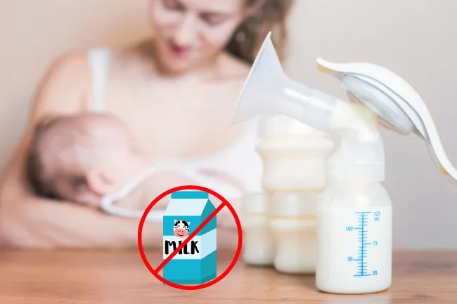 Bé dị ứng đạm sữa bò nên chọn sữa NAN hay Colosbaby? So sánh bảng thành phần 2 Lựa chọn sữa theo từng tình trạng cụ thể của bé