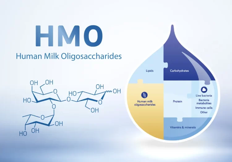Hệ dưỡng chất HMO: Bước tiến từ 2'-FL lên phức hợp 5 loại HMO